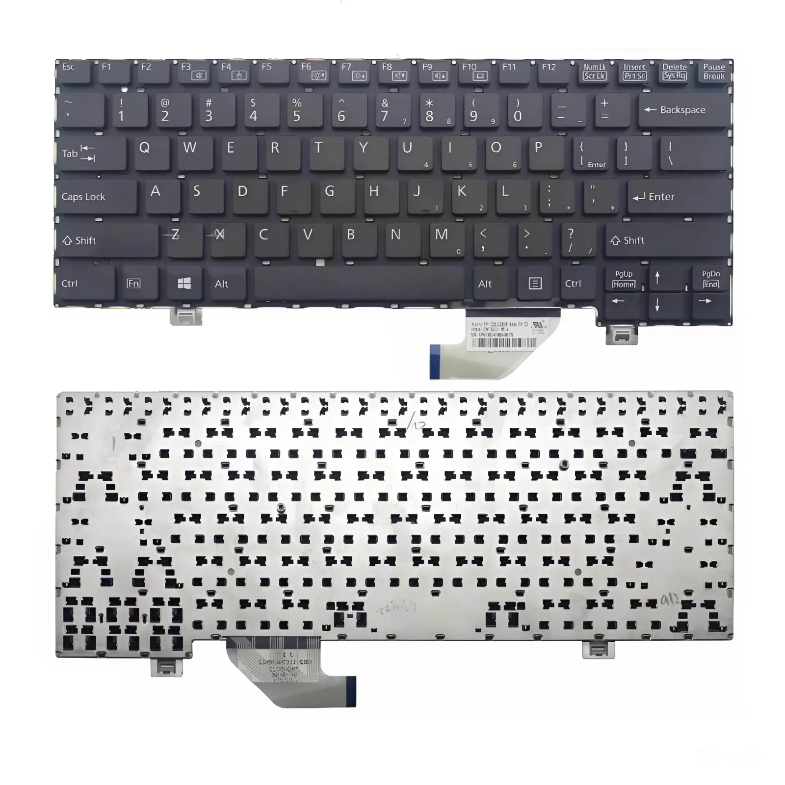 snapedit_1726639977116